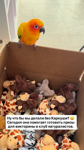 11 reactions | Tip-Top School on Reels | Facebook