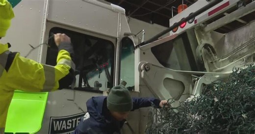 Where to recycle unwanted holiday trees, lights in Chicago | WasteNot, Inc.