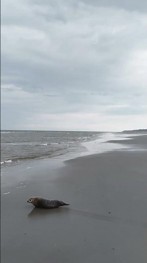 Le calme avant la tempête ! Plage de Neufchâtel-Hardelot