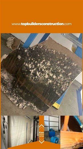 TopBuildersConstruction on Instagram: "🚨 Mold Remediation in action 🚨 A small leak can turn into a serious issue if it’s not handled fast. In this project, a water line anchored to the framing leaked above the ceiling, causing moisture buildup and mold growth on the drywall. 🔍 Moisture assessment 🛠️ Removal of affected materials 🚧 Area containment 💨 Complete structural drying At Top Builders Construction, we respond fast, work with precision, and protect what matters most. We don’t just fi