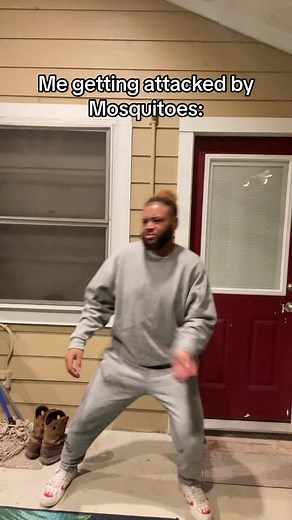 Understanding Mosquito Hawks and Their Benefits