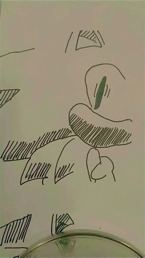 TAILS IS IN SERIOUS TROUBLE… 😱 | Sonic Fan Comic Drawing (Dark Outcome Memories)”