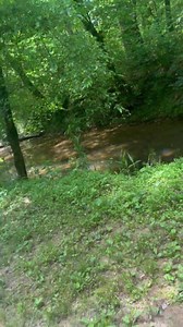 McGee’s nature trail walk!! 💖🐾 | Tuscarora's Country Club for Dogs