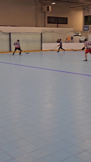 4.2K views |  VOSHL FLASHBACK! Team Denmark  vs Team Slovakia  | VIBHL | Facebook