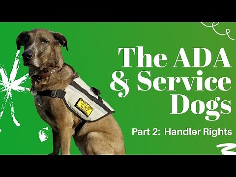Service Dog Handler Rights | Answering ADA Questions Part 2