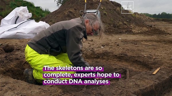 Archaeologists discover more than 50 exceptionally well-preserved Viking skeletons in Denmark
