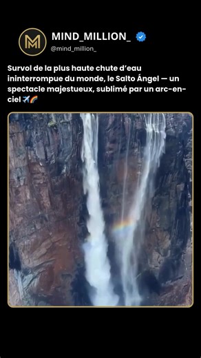 MIND_MILLION_ on Instagram: "e Salto Ángel, la plus haute chute d’eau ininterrompue du monde, atteint une hauteur totale de 979 mètres, avec un saut unique de 807 mètres. La cascade est nichée au cœur de la jungle isolée des hauts plateaux guyanais, dans le sud-est de l’État de Bolívar, au Venezuela, à l’intérieur des limites protégées du parc national de Canaima, classé au patrimoine mondial de l’UNESCO. Les visiteurs disposent de deux options principales : des survols aériens en petit avion ou