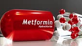 This animation shows a capsule of Metformin hydrochloride opening...