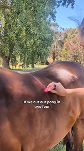 82K views · 2.5K reactions | What is the one most important thing...