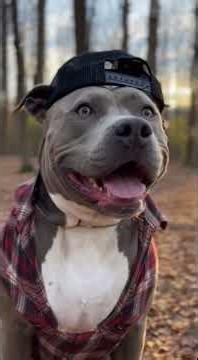 Truck Driver Stranded in the Wild | Mockumentary