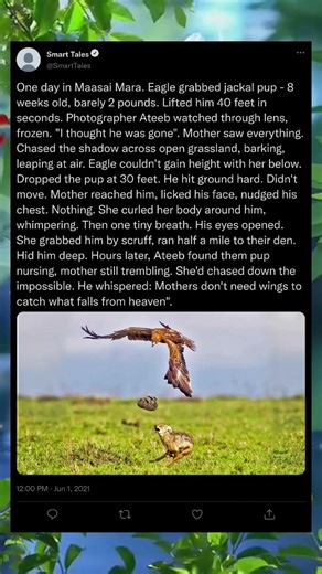 A Mother’s Love That Reached the Sky 🌤️👩‍👧 #emotional #viral