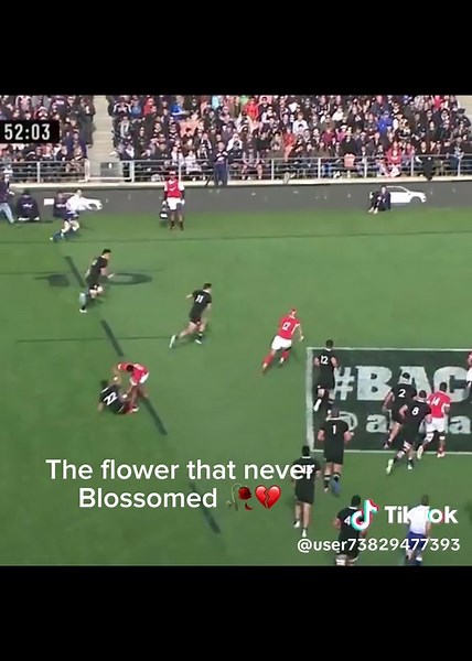 George Bridge: All Blacks Highlights in 2019