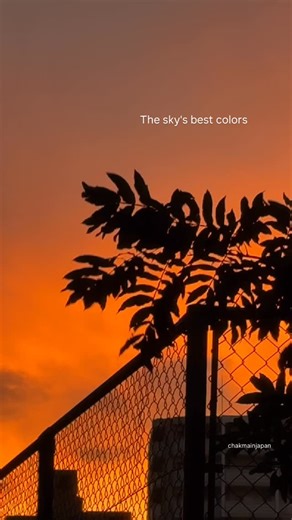 26 shares | The sky’s best colors. Golden hour in Kobe, Japan. #japan #sunset #goldenhour #bekobe #日本 #japansky #japanthings #kobe #kobe_pra #sky #sunsets #today Kobe PR Ambassadors | Life in Japan 日本 | Facebook