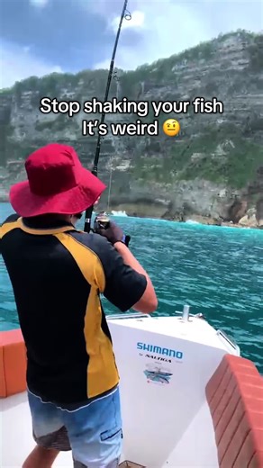 Tidal_Tribe on TikTok