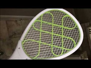Testing an Electric Fly Swatter on a Fly