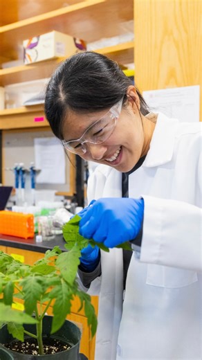 Cornell Bowers Computing and Information Science on Instagram: "How can data transform the future of food? Xiaoying Gan ’25, a biometry and statistics and plant science double major, is using her Cornell Bowers education to improve agriculture and tackle food insecurity—advancing humanity and society through tech. 📊🌎🌾"