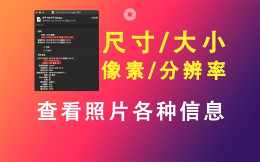 【PS教程】你到底会不会看照片详细信息 | 尺寸|大小|像素|分辨率