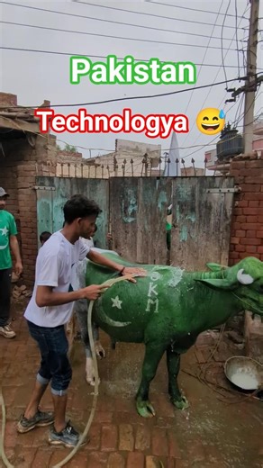 Pakistani Street Goes Crazy for Azadi Cow 🔥🐄 | bkmboys86 dance video🇵🇰 #trending #pakistanzidabad