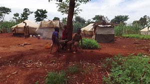 If you have been separated from a loved one due to conflict, disaster, migration or any other humanitarian crisis, Red Cross Restoring Family Links volunteers may be able to help. Go to>> redcross.org/reconnectingfamilies or Call >>844-782-9441 | American Red Cross Los Angeles Region