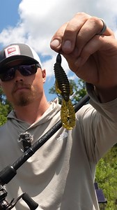 6.7K views · 92 reactions | If you've got flooded Bushes, you better be flipping Learn how Bassmaster Open's Pro Cody Ross Fishing rigs a Rage Bug and what setup is his favorite for it #Strikekinglurecompany #tieoneon #teamlews #feelthedifference | Strike King Lure Company | Facebook