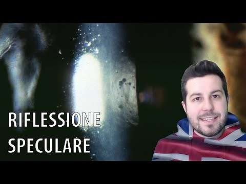 Specular Reflection : Slit Lamp Techniques #3 [ENG]