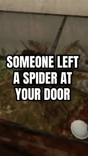 Someone Left A Spider At Your Door, Something Is Wrong w/ It #horror #horrorgame #indiehorror