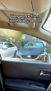 24K views · 79 reactions | Imagine explaining this to your insurance 旅 (Via - Brittney W.) #BeforeHeCheats #Funny #Birds #Turkey #Memes | Fur Family | Facebook