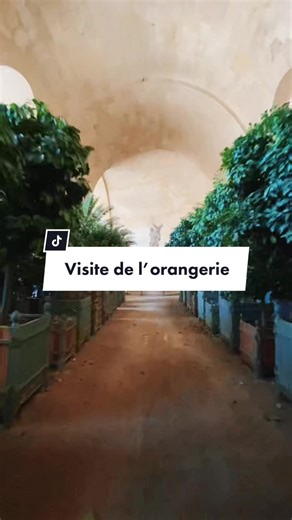 Découverte de l'Orangerie à Versailles