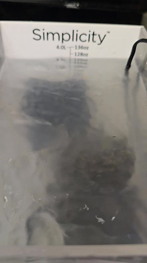 Simplicity coral dip box gets a lot of use | Coral Ridge LLC