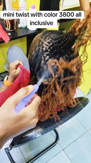 Mini Twist Styles with Color for Natural Hair