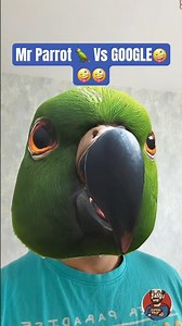 Mr Parrot 🦜 Vs GOOGLE🤪🤪🤪 #parrot #talkingparot #funnyanimal #funny