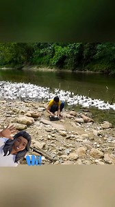 #farmthebest #bushcraftcamping #everstars #duck #fishing #pineapple #garden #harvester #potatos | Gonzalez Francy