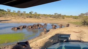 25 reactions | What a crazy sighting watching a Leopard attempt a...