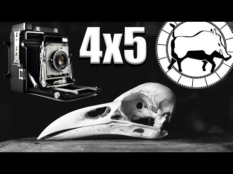 Getting Into Large Format Photography Inexpensively - Here's How To Do It And A few Things You Need