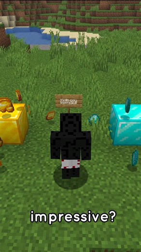 Which one do you find more impressive? #minecraft #fyp #gaming