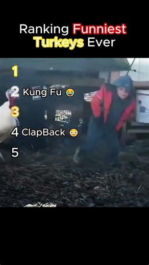 Ranking The Funniest Turkeys Ever Caught on Camera 🦃💀