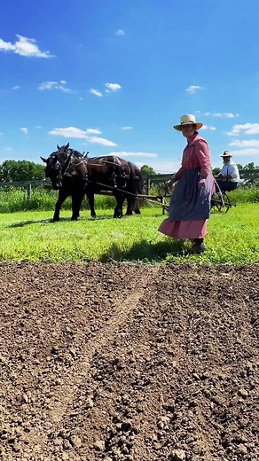 Another video with our antique corn planter #johndeere #vintage #history #farmer #farming #farmlife