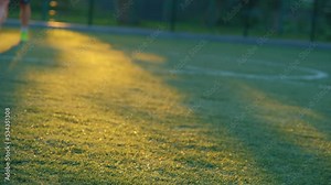 Shadows of football players on the football field. Football background. Football at sunset.