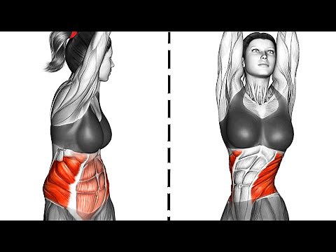 Stubborn Belly Fat and Slim Waist Exercise