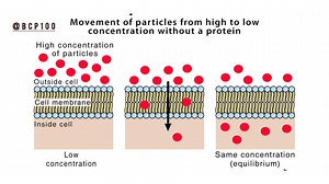 Diffusion #diffusion #fblifestyle #healthcare #healthtips #MedicalEducation #chemistry | Biology Physics Chemistry