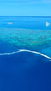 🌟 Coral Baby Boom Success! 🌟 It’s official: millions of coral babies have been delivered onto the Great Barrier Reef in the Cairns and Port Douglas region! 🐠 This massive milestone was made possible by scientists, tourism operators, and local communities coming together to collect spawn during the spectacular coral reproduction event. Using a technique known as Coral IVF, they were nurtured in floating larval pools and released onto the Reef on coral cradles with the aim to support its natura