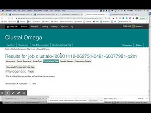 How to Use Clustal Omega