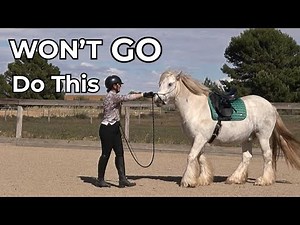 This Simple Trick Makes Horses Want to Go Forward
