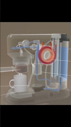 How the espresso coffee machine work #zackdfilms #coffeebattle #garden #coffeemachines #educational