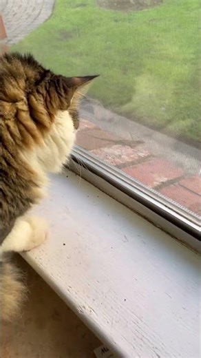 He’s back on lizard patrol.