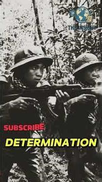 Vietnam War: Inside the Jungle Battlefield | The Insight Vault
