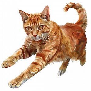 5x Tabby Cat Sticker Set (5 Pieces): Striped Cat Car Stickers Gift 9 X 9 Cm - Etsy