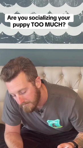 Socializing your puppy is an essential part of their growth and development. But HIW you’re socializing them and the QUALITY of socialization matters too! Are you accidentally rewarding bad behaviors when socializing? Are you putting your puppy in situations they’re just not ready for yet? Remember that socializing your puppy isn’t just about them playing with other dogs — it’s learning how to just “be” around them, other people and in different environments so they become comfortable and confid