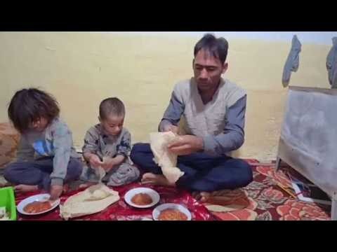 The savage osmanthus and the heartless Eevee, poor Rasheed suffering from a tumor #CountryLife #N...