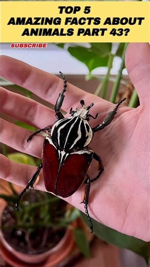 Top 5 Amazing Facts About Animals In Hindi Part 43 #shorts #facts #top10anything